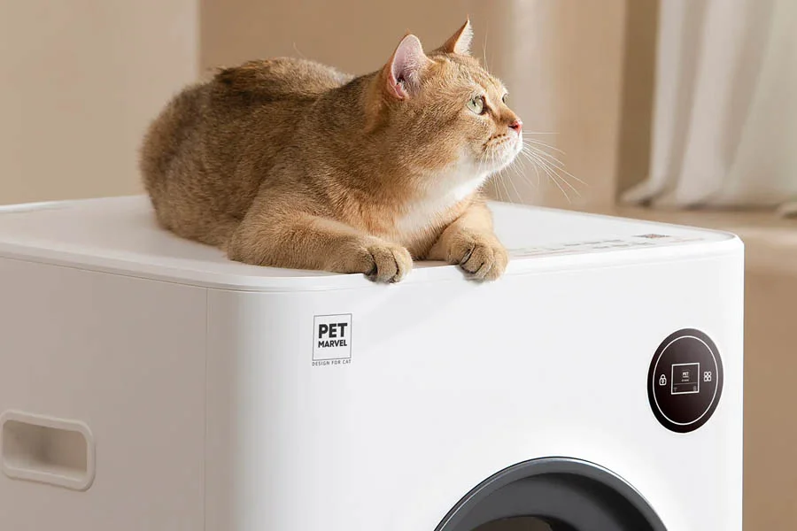 electronic cat box