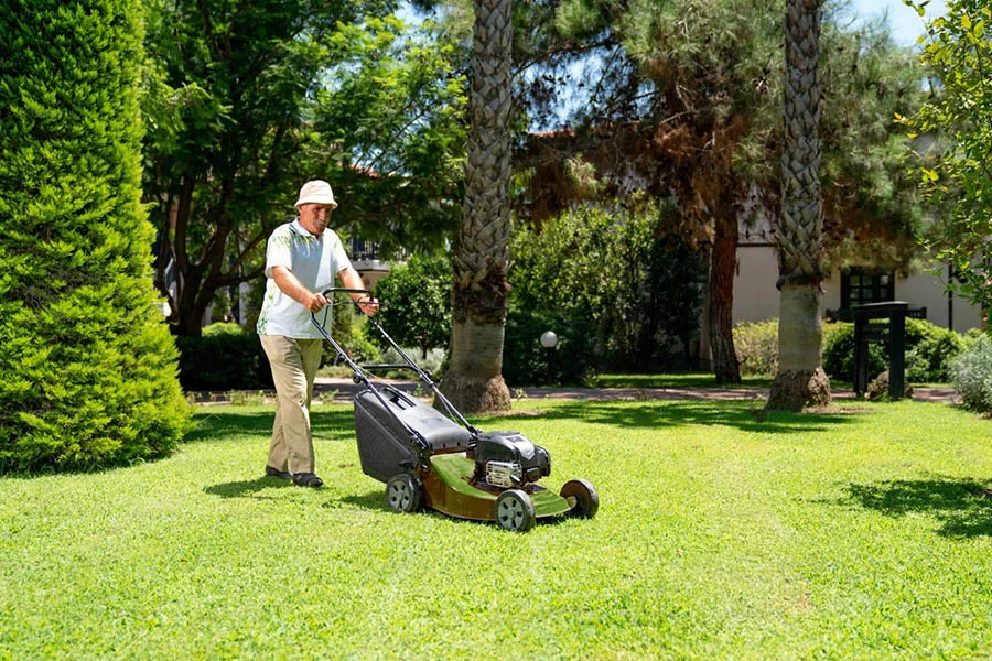 small lawn cutter